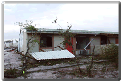 Click for larger image